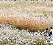 [오늘의 날씨]광주·전남(27일, 목)…맑고 오전 한때 안개