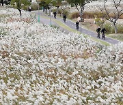 [오늘의 날씨] 울산(27일, 목)…낮부터 맑아져