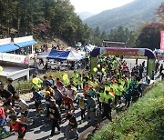 보은군 '속리산 단풍 마라톤대회' 29일 개최…1000여명 참가