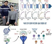 포스텍 연구팀, 더 강한 코로나 변이 잡는 중화제 개발