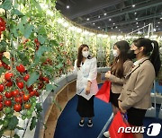 스마트팜 기술에 관심 보이는 학생들