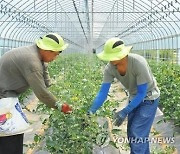 내년 고용허가 외국인력 11만명 들어온다…역대 최대