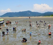 한국갯벌 절반만 세계자연유산…“등재 늘려 생태계 보호”