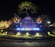 '가을밤 산책 낭만' 전남 영암국화축제 29일 개막