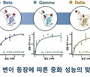 “코로나19 변이잡는 만능치료제 나올까?” 포스텍 新 중화제 개발 성공