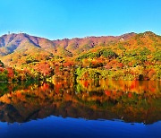 충남도, 덕산도립공원 탐방로 정비 완료