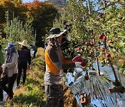 "외국인근로자도 없다" 농촌 인력난…도, 일손돕기 집중 추진