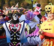 핼러윈 축제 에버랜드에서 만나요