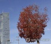 GERMANY ECONOMY ECB