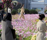 [오늘의 날씨]광주·전남(28일, 금)…낮과 밤 기온차 큼