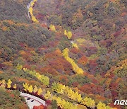 [오늘의 날씨]대전·충남(28일, 금)…대체로 맑음, 최고기온 21도