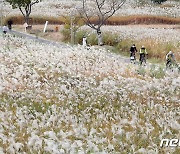 [오늘의 날씨] 울산(28일, 금)…오전부터 낮사이 5㎜ 미만 비