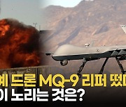 [영상] '침묵의 암살자' MQ-9 리퍼…미국이 꺼내든 히든카드⁹