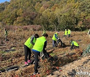 전북농협·진안군지부·부귀농협, 고추 재배농가 일손돕기