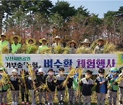 부산시설공단, 부산시민공원서 벼 수확 체험 행사