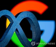 애플 아마존 구글 메타 1년간 한국 GDP 2배 날렸다…시총 4000조 폭삭