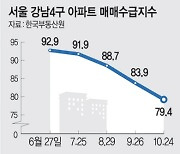 매수심리 최악… 노도강 다음 추락은 강남?