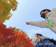 경기남부 오전까지 짙은 안개…일교차 10도 이상 커