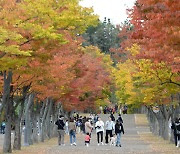 대구·경북, 가끔 구름 많음…낮 16~21도