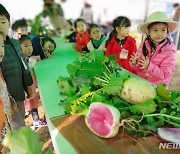 '10월엔 고구마, 11월엔 무' 성남시민농원서 학생들 수확체험