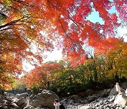 '한라산 물들인 단풍'