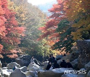 '한라산 천아계곡의 가을'