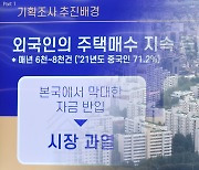 불법 반입·출처불명 돈으로 집 쇼핑…중국인이 55%