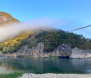 충남 금산군, 월영산 출렁다리 누적 방문객 50만 명 돌파