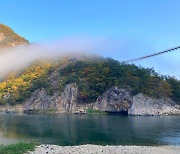 충남 금산 월영산 출렁다리, 방문객 50만명 돌파