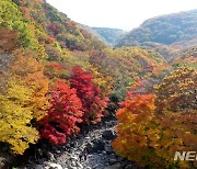 제주, 대체로 구름 많음…낮 기온 21도 내외