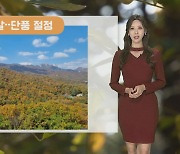 [날씨] 주말 완연한 가을…내륙 일교차 유의