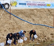 포항시, 대송면, 호미곶면 저수지에 토종어류 동자개 2만마리 종자 방류