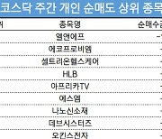 코스닥 주간 개인 순매도 1위 '엘앤에프'