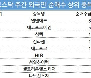 코스닥 주간 외국인 순매수 1위 '엘앤에프'