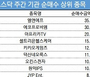 코스닥 주간 기관 순매수 1위 '엘앤에프'