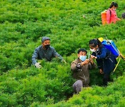 北 당 정책과 지방 미래 결부한 선전 사업 강조