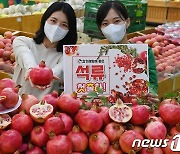 농협유통, 첫 출하 '석류' 소개