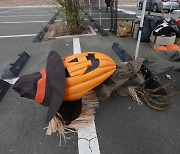 대구 핼러윈 축제 전격 취소