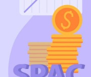 기관 돈 몰린 공모주, 10개 중 7개는 스팩(SPAC)