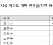 다음달 수도권 규제 대거 풀리나.. 서울 외곽·세종 해제 가능성 거론