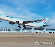 대한항공 시드니행 여객기, 인천공항 회항