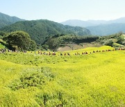 지리산 둘레길 10년… 공동체 복원하고 지역경제 활력까지