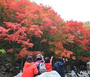 제주 대체로 흐려…낮 최고 20~21도