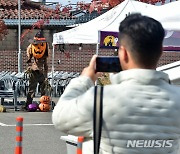 2022 대구 할로윈 축제 전면 중단