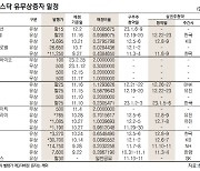 [데이터로 보는 증시]코스피·코스닥 유무상증자 일정