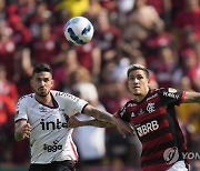 Ecuador Brazil Soccer Copa Libertadores