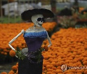 Mexico Day of the Dead