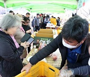 '2022 청춘양구 펀치볼 시래기 사과 축제'