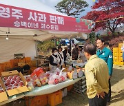 [이태원 참사] 영주시, 사과축제 공연 등 각종 행사 취소