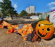 전면 취소된 제주 핼러윈 행사